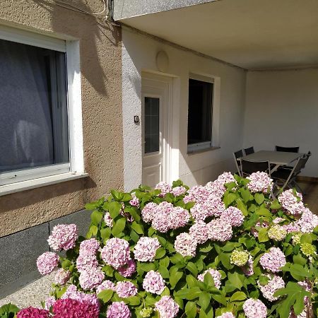 Apartments Buket Jagodje Экстерьер фото